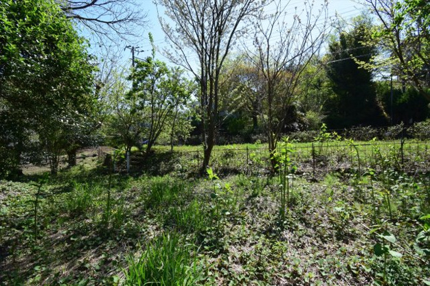 【外観】 | イトーピアA地区　売地