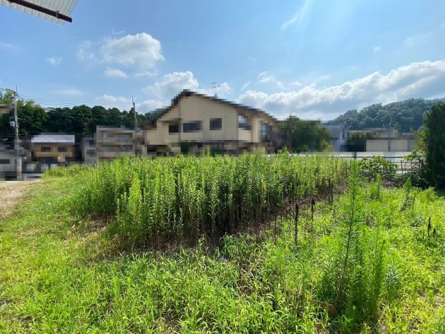 京都市左京区北白川上池田の周辺|土地裏側から撮影した風景です。
草刈りしていきます。