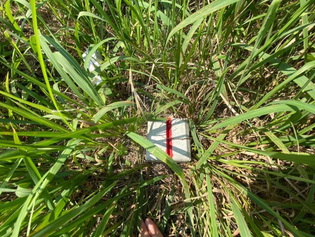 京都市左京区北白川上池田の周辺|南西角の境界です。