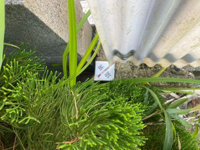 京都市左京区北白川上池田の周辺|北西角の境界です。