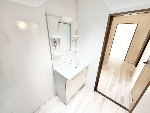 ハイルーツビルの洗面所