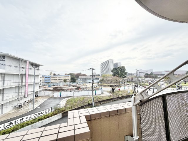 ハイルーツビルの展望