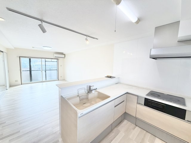 ハイルーツビルのキッチン