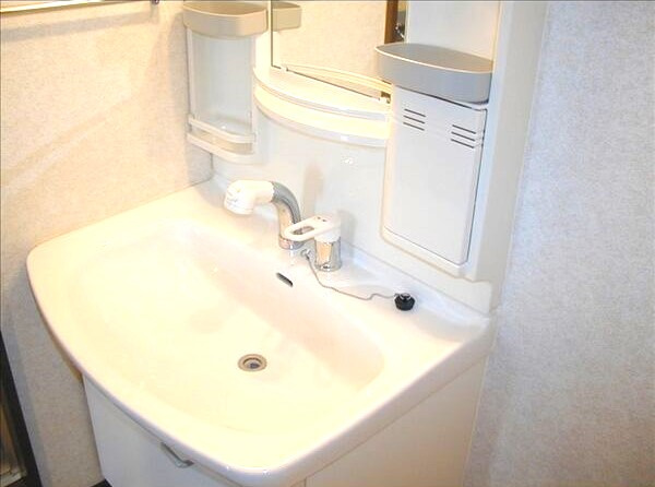 ラ・フォーレ一社の洗面所