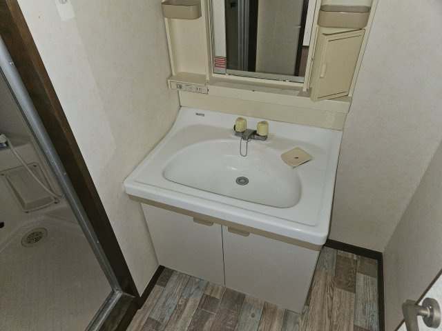 ポコアポコ住吉メゾンⅡの洗面所