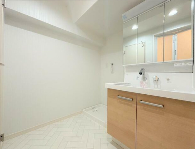 ライオンズマンション高宮第６の洗面所