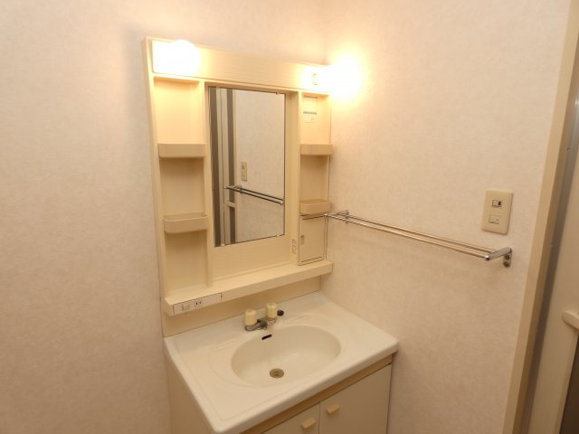 メゾンIYASAKAの洗面所