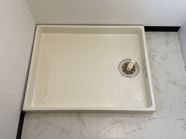 バンプロピスIIのその他