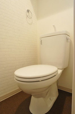 【トイレ】 | Maison du lotus | 別号室の写真になります。現況優先。