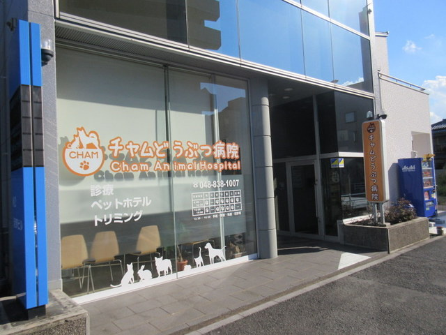 Ｂｅｌｌｅ　Ｃｌａｉｒｅのその他|チャムどうぶつ病院