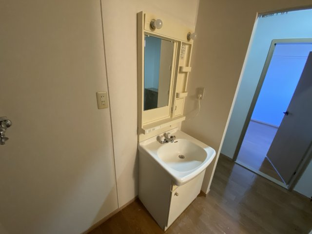 ピッケル末広の洗面所