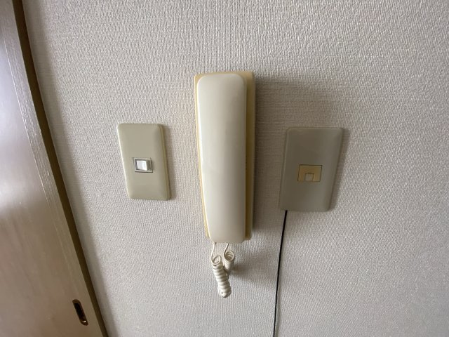 ピッケル末広のセキュリティ