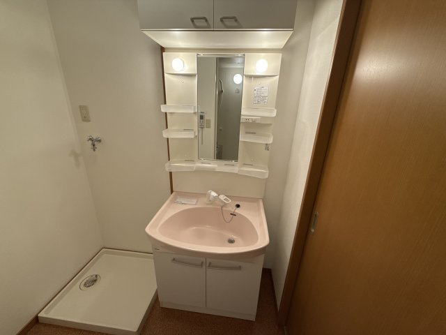 メゾンひまわりの洗面所
