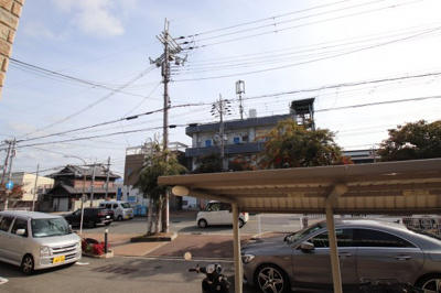 【展望】 | エレガント茱萸木