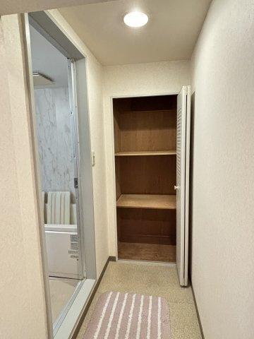 洗剤やタオル等、水回りで使うものが片付く収納付き。