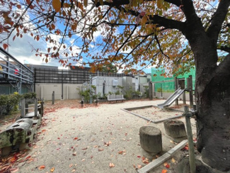 【その他共用部分】 | ネオコーポラス島ノ内Ａ棟