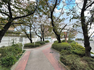 【その他】 | ネオコーポラス島ノ内Ａ棟 | 共用部分