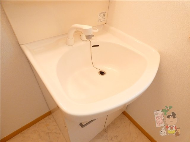 シャーメゾン野田の洗面所