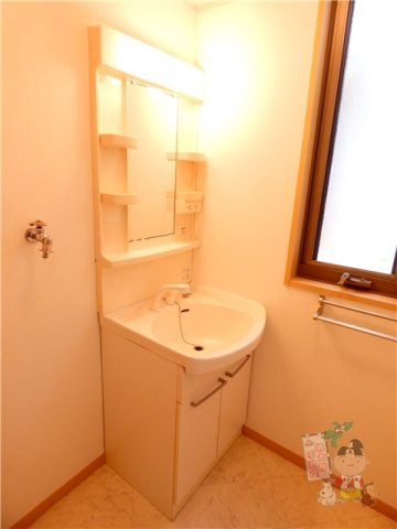 シャーメゾン野田の洗面所