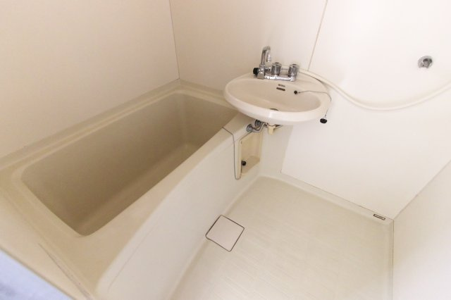 ベルメゾン・スギⅠの浴室