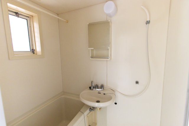 ベルメゾン・スギⅠの洗面所