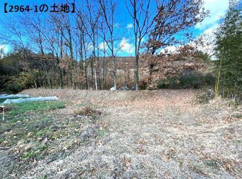 大分市大字政所の売地の外観|2964-1の土地