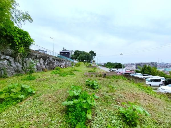 葛木　土地のその他