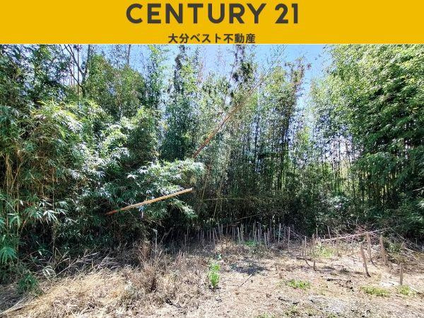 臼杵市井村　土地