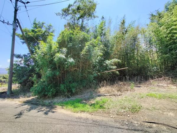 臼杵市井村　土地の前面道路含む現地写真