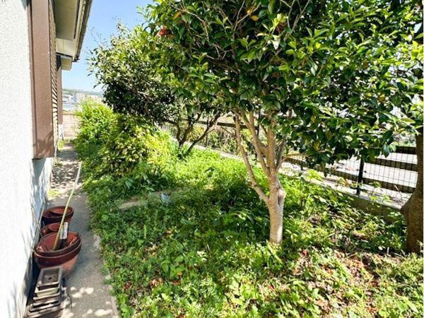 別府市新別府　中古戸建ての庭|緑豊かな庭