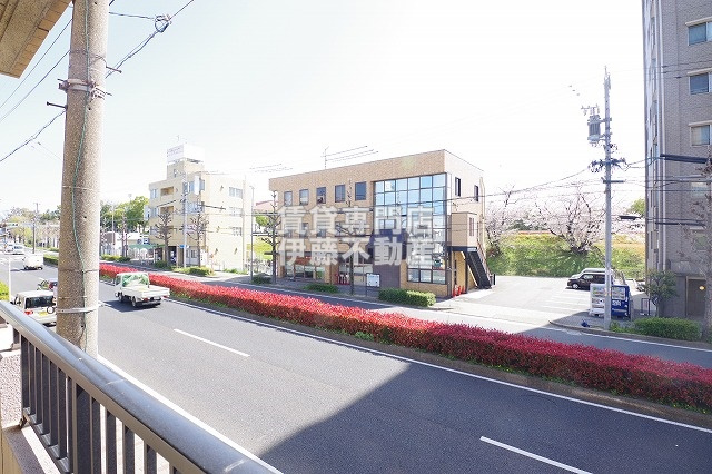 サンズコーポ市場木の展望