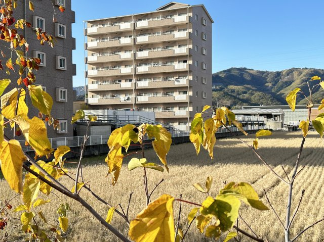 リップルガーデンⅠ