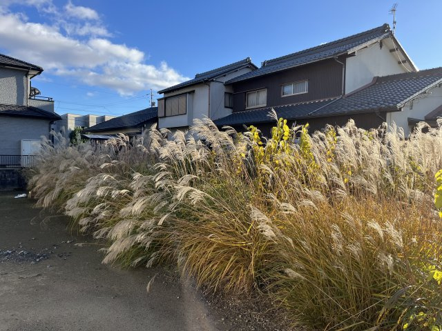 ６４５５７　岐阜市八代２丁目土地の外観