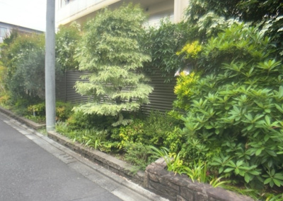 【中庭】 | デュオセーヌ緑山 | 中庭（パティオ）とは、一つの建築物の内部に設けられた、壁などで囲われている庭のことを指します。コの字型、ロの字型が主流ですが、L字型の中庭もあります。最近では、インテリア性の高さからも人気があります。