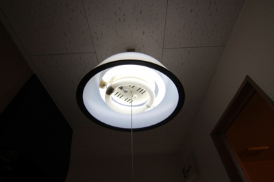 【その他】 | ソフィーフラット