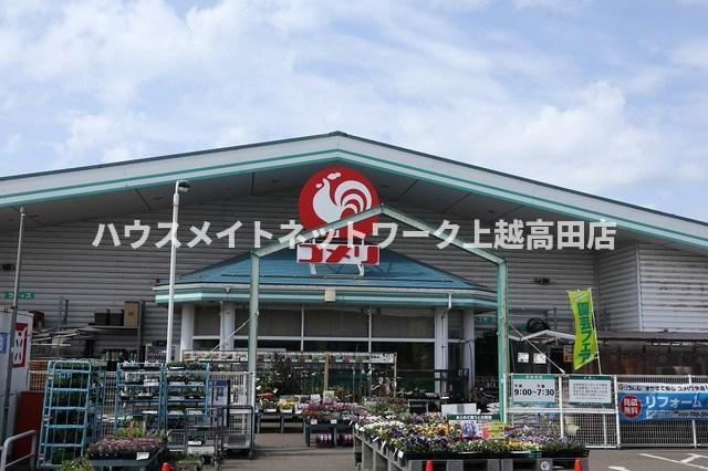 ネオ　シャングリラの周辺|その他
