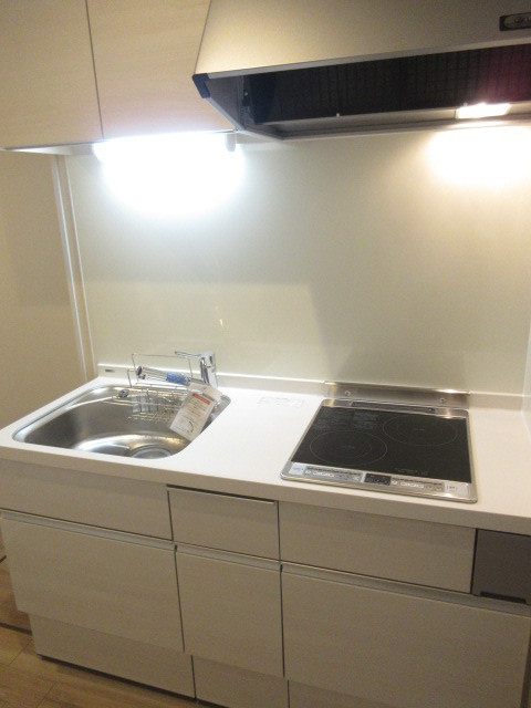 グレイス駒込の洗面所