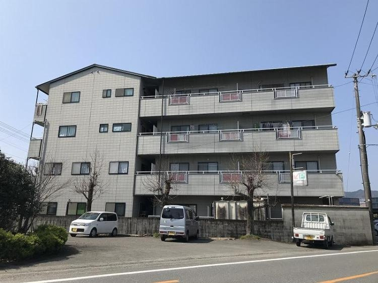 ＳＩＮＡＪＹＵＲＩＭＥ・ＧＲＥＥＮ（シナジュライム・グリーン）