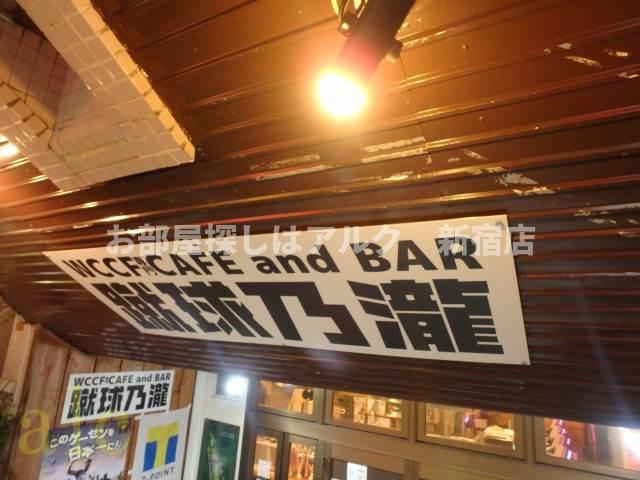 新高円寺ダイカンプラザシティの周辺