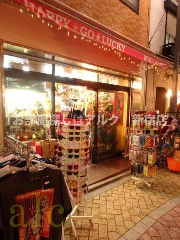 新高円寺ダイカンプラザシティの周辺