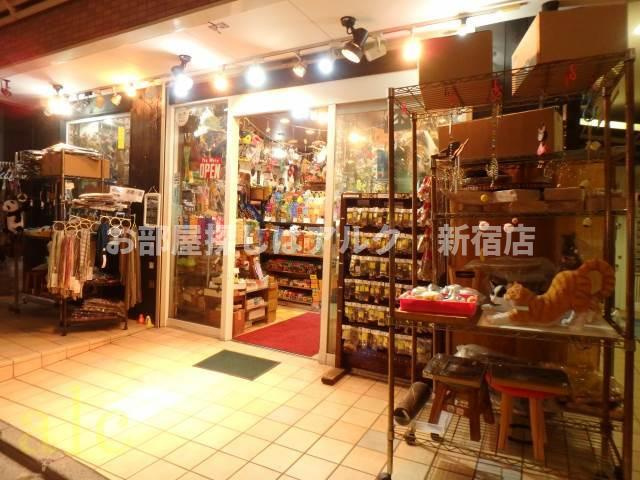 新高円寺ダイカンプラザシティの周辺