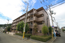 セリテ板宿の画像