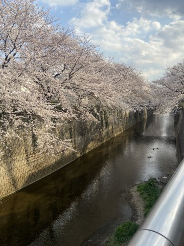の-の画像