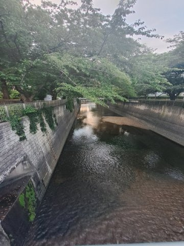 の-の画像