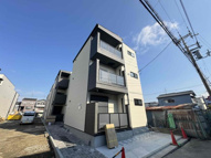 D porta caninaの画像