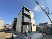 D porta caninaの画像