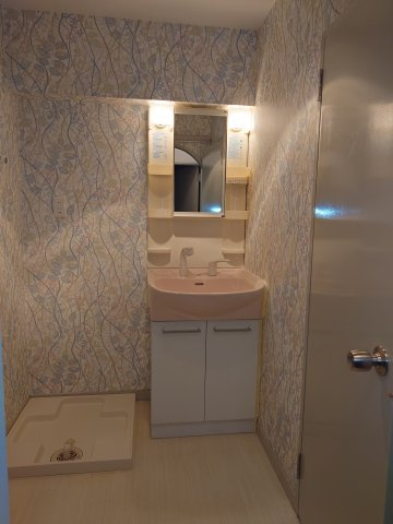 甲東園パークマンションの洗面所