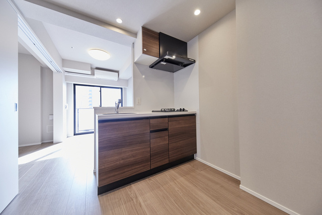 Opus Residence上野元浅草の設備|南向き、リビングにエアコン・照明付、カウンターキッチン