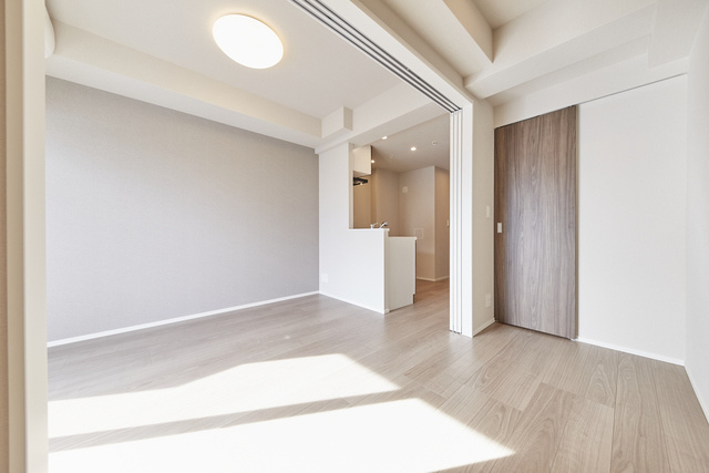 Opus Residence上野元浅草の内装|南向き、リビングにエアコン・照明付、カウンターキッチン、洋室にウォークインクローゼット・ダウンライト付き