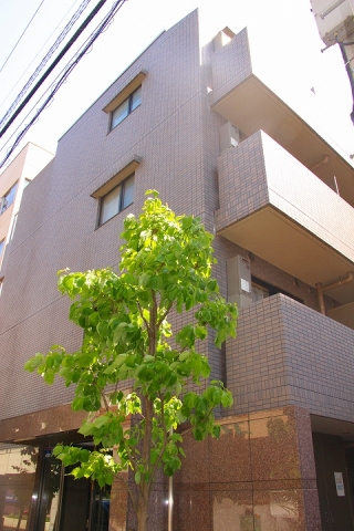ルーブル江古田伍番館の外観|外観